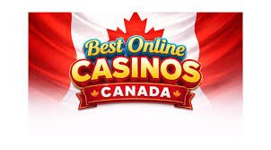 Top Ranked Online Casinos Your Ultimate Guide Top Ranked Online Casinos Your Ultimate Guide
